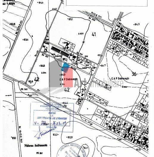 Teren Intravilan Matei Milo - Poză 2