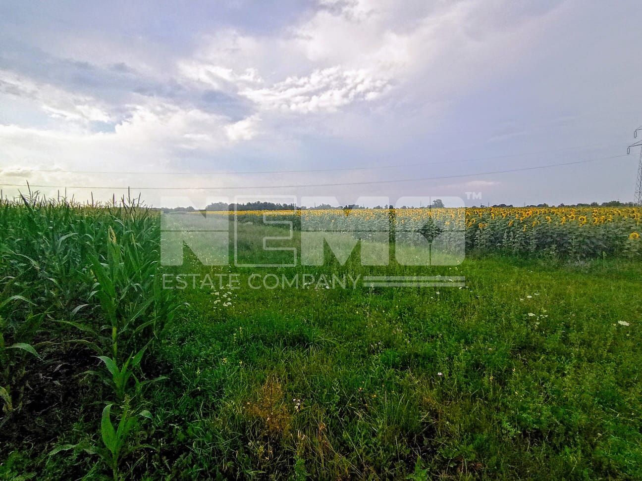 Teren extravilan de vânzare – 13 ari, deschidere la drum 7m - Poză 1