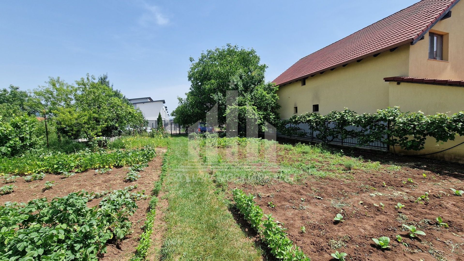 Teren intre Alba-Micesti, partea dreapta - Poză 3