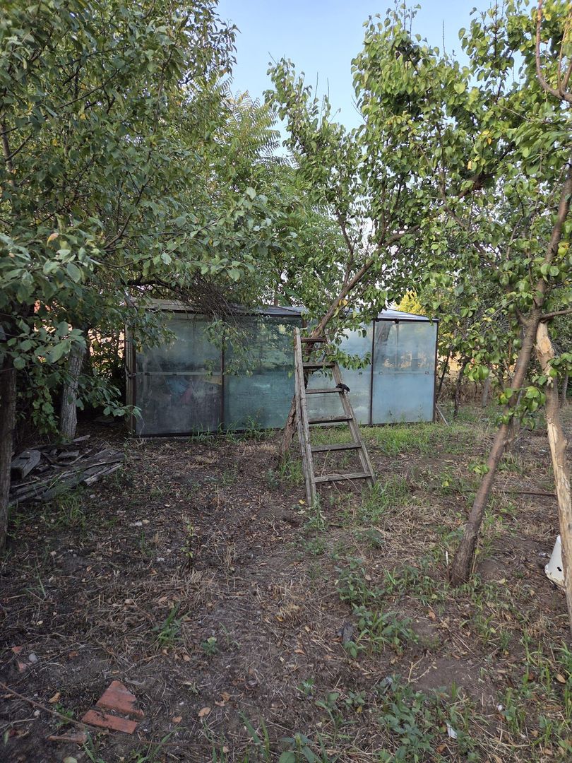 Casă și teren 2177 mp Ortisoara -28ml front-comision 0 - Poză 14