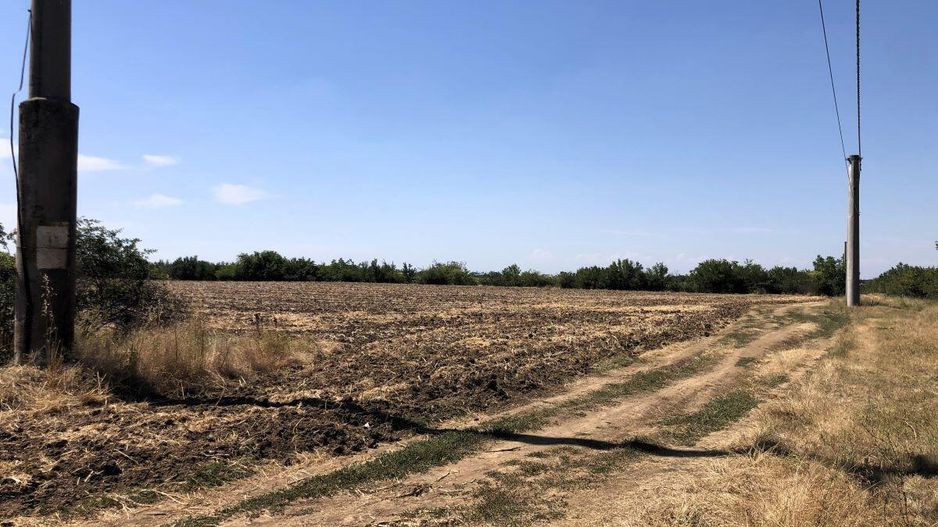 Moara Vlasiei - langa Padurea Biglaru, 11.884 mp, deschidere 40 ml - Poză 3