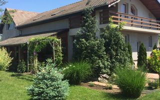 Proprietate cu potențial rezidențial și comercial | Comuna Pesac - Poză 10