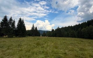 PARCELE DE VÂNZARE, pe malul râului BÂSCA, COMANDAU, COVASNA - Poză 13
