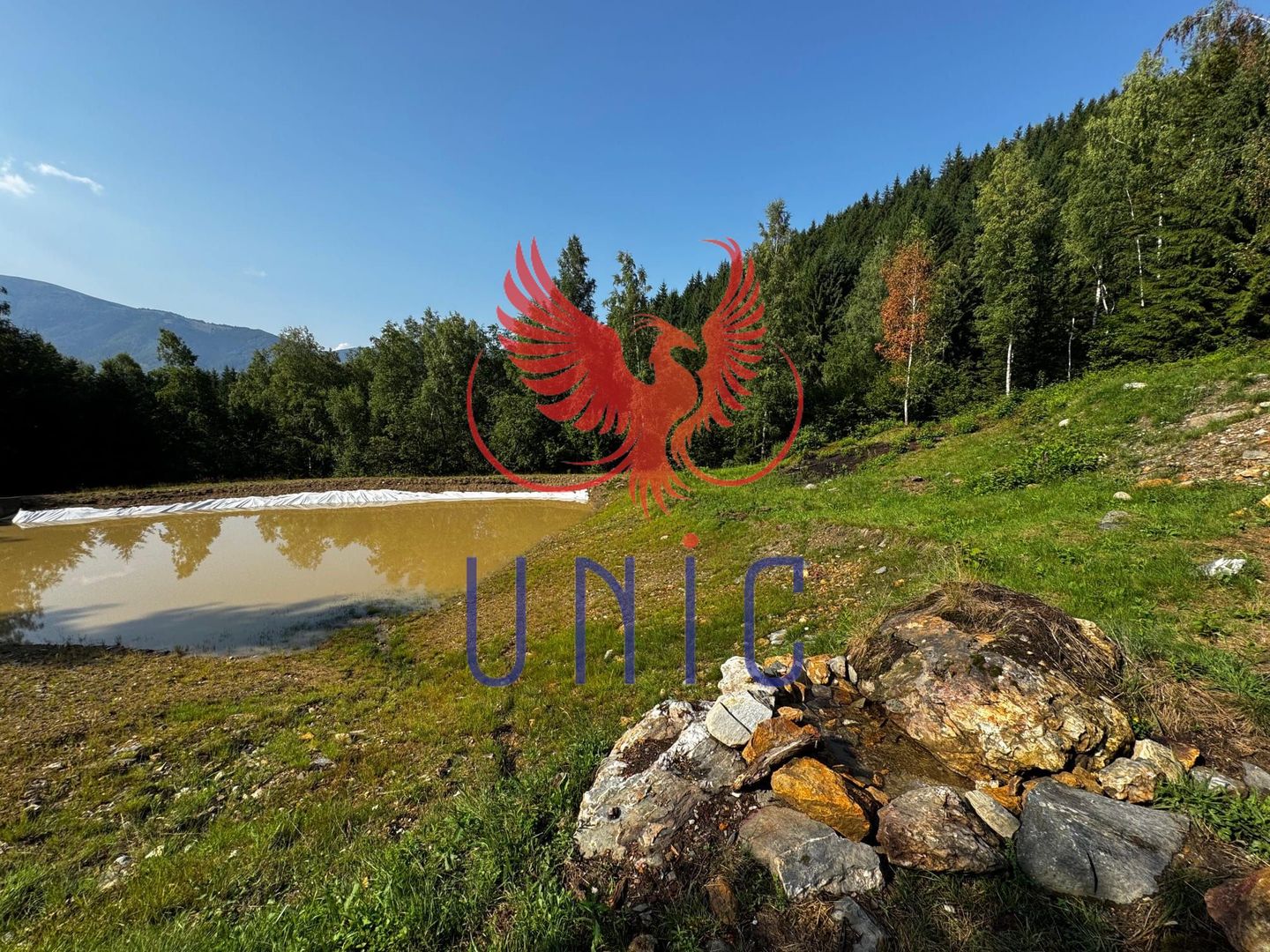 18000 mp de natura pura ,Lupeni, langa Straja - Poză 6