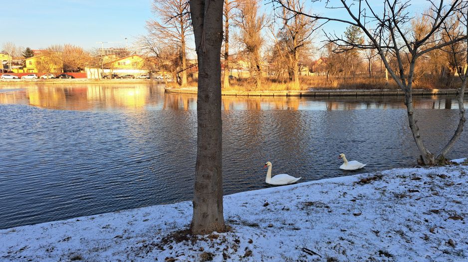 Teren intravilan 340 mp - Parcul Plumbuita - Poză 10