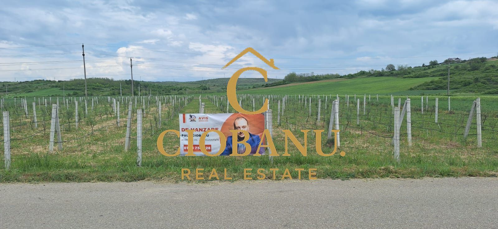 Teren intravilan cu PLANTATIE DE GOJII de vanzare in Racari - Poză 27