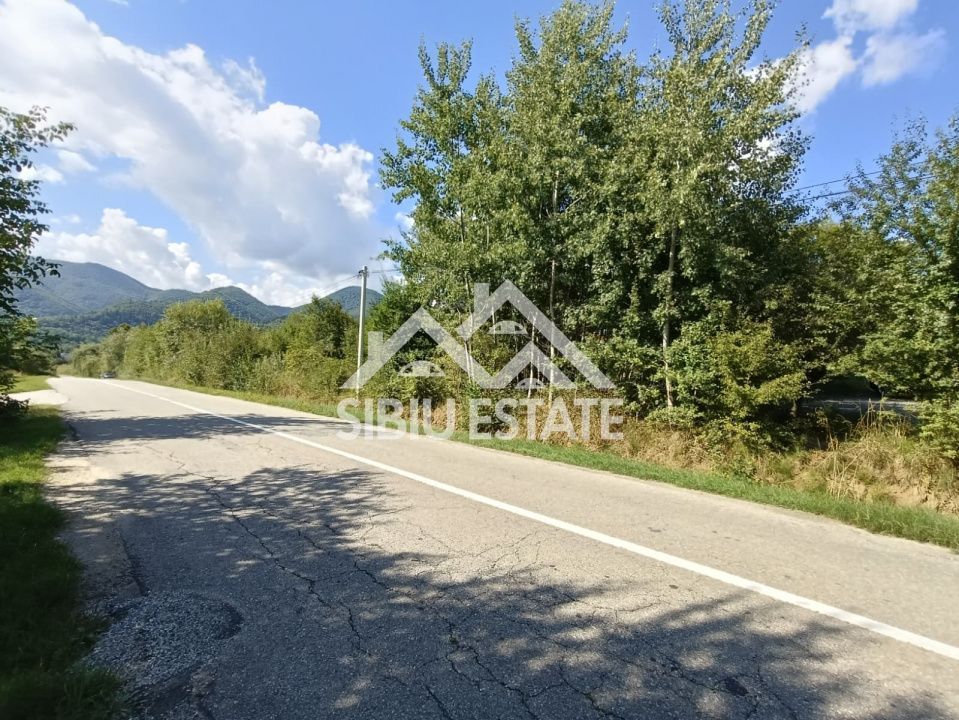 Teren  construibil ,la sosea, intre Vale si Sibiel, zona cu potential - Poză 3