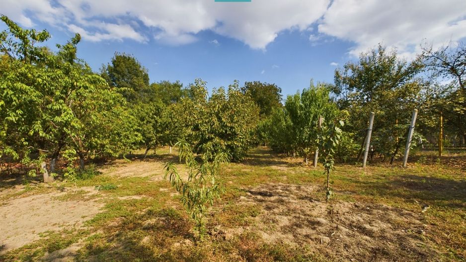 Casă cu teren 2877 mp, orașul Ineu - Poză 6