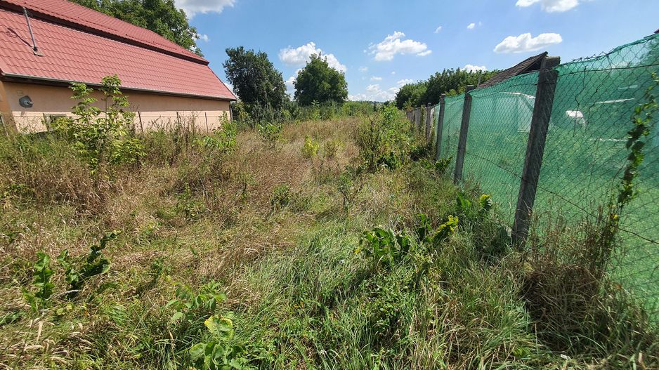 Teren zona Libertătii 831 mp - Poză 4