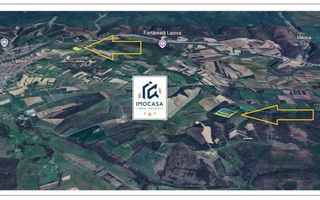 De vânzare teren extrav. 8,14h Lipova Arad Arabil 2,91ha livadă 6.10ha - Poză 3