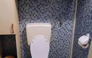 Cabană cu teren și pomi fructiferi Tropinii Noi ,Sibiu - Poză 12