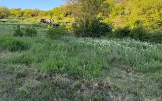 ⭐  Teren de 2.700 mp cu front generos – Ocazie în Oncea - Poză 16