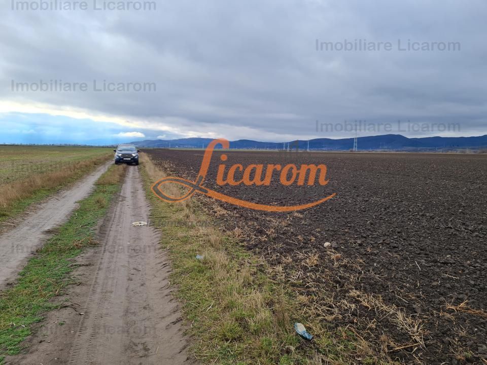 Teren extravilan 2,9 HA,intre Cristian si Vulcan - Poză 1