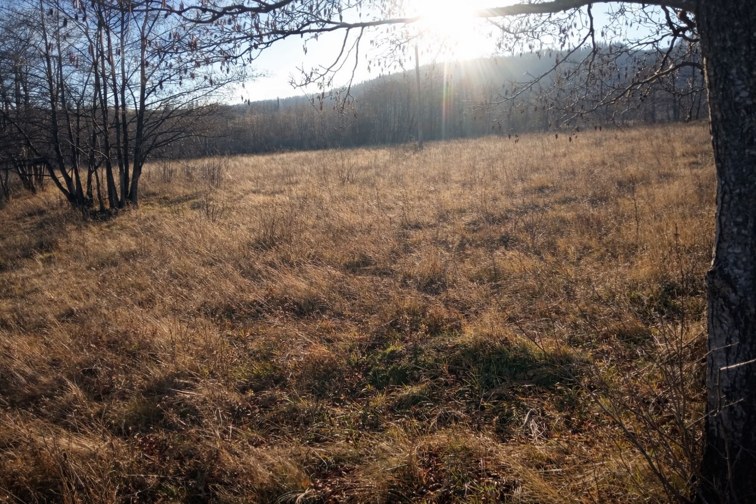 Teren extravilan | Vicovu de Jos | Preț 27.000 | Negociabil - Poză 6