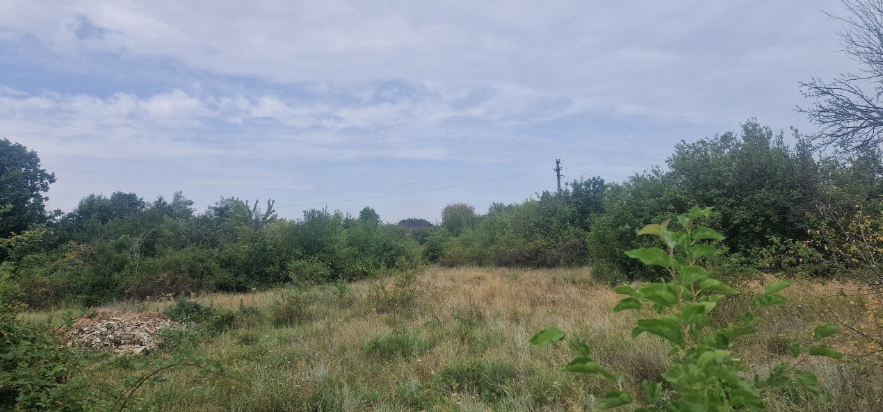 TEREN POIANA LACULUI - Poză 2
