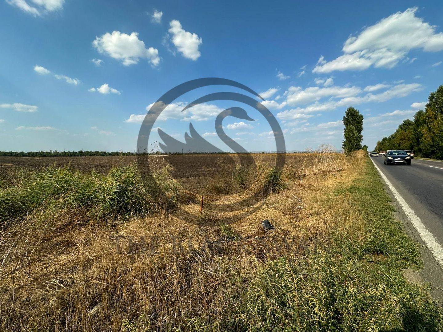 Teren extravilan de vanzare | 9882mp | Berceni - Prahova | Comision 0% - Poză 4