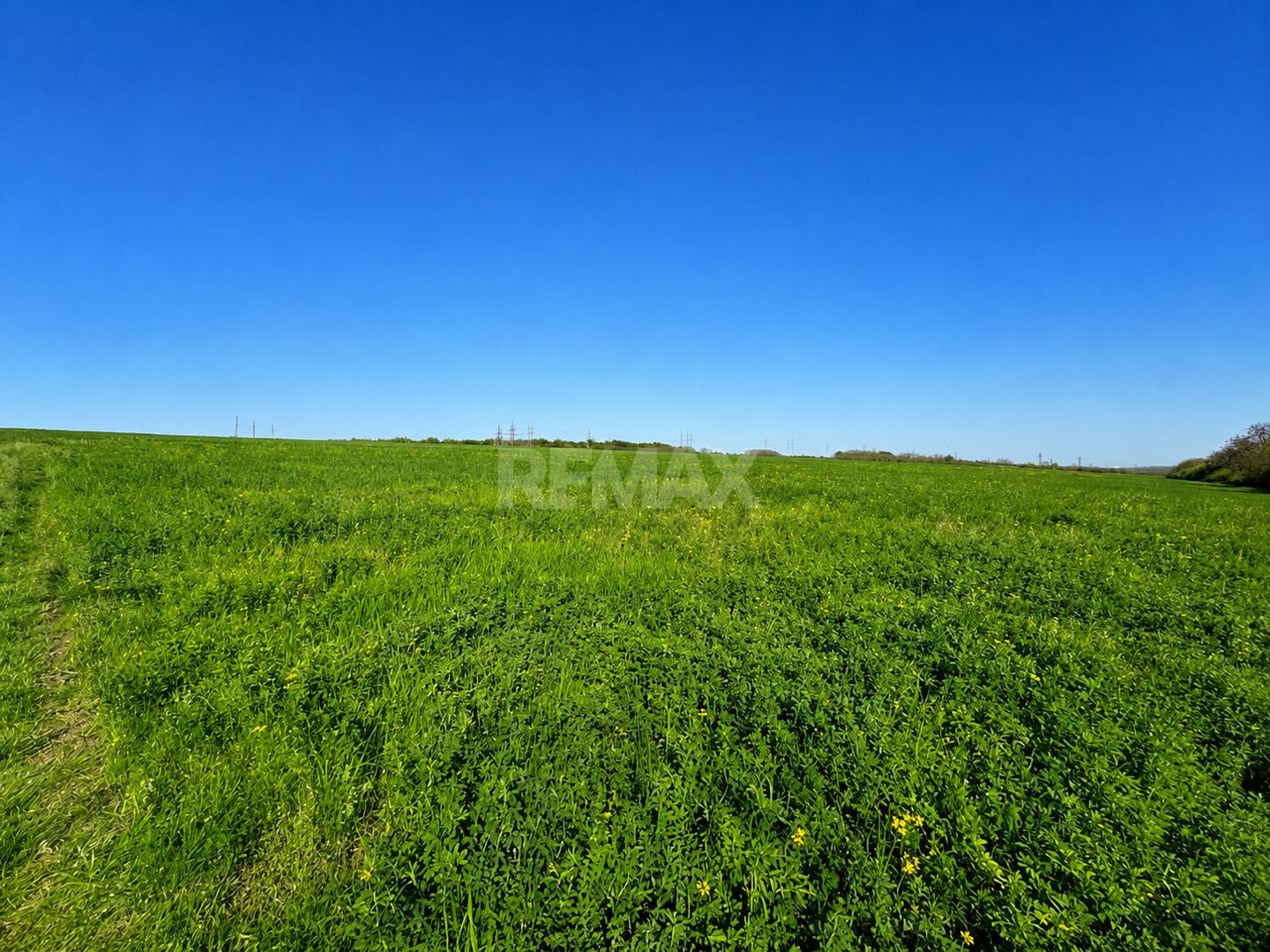 Teren agricol de 40 ari în Ghidighici – oportunitate pentru investiție sau activitate agricolă - Poză 1