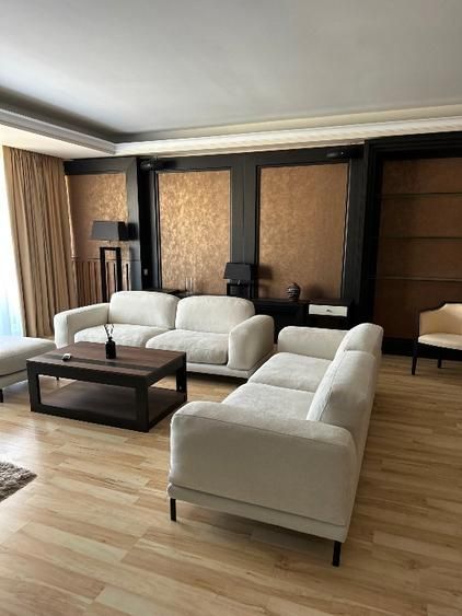 Triplex vedere panoramica | Terasa 80 mp | Herastrau - Poză 10