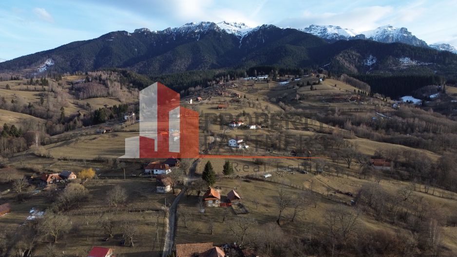 Teren 2110 mp Bran Poarta - Poză 4