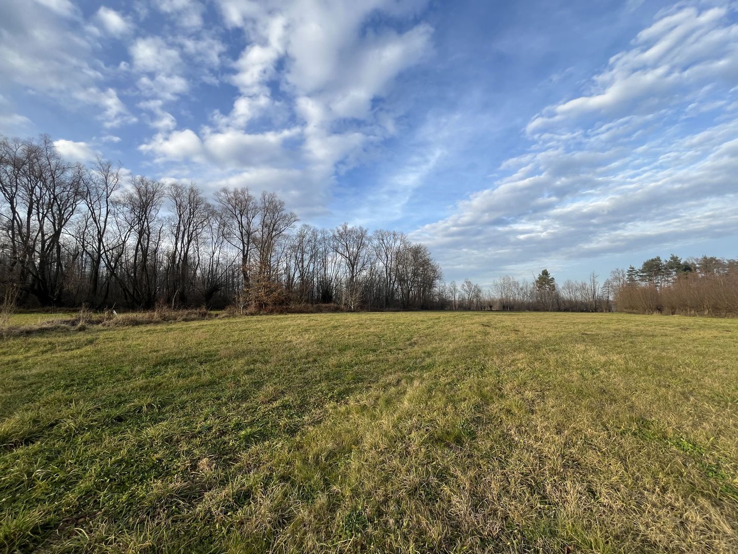 TEREN INTRAVILAN GENEROS | 72 ARI | GALANESTI - Poză 5