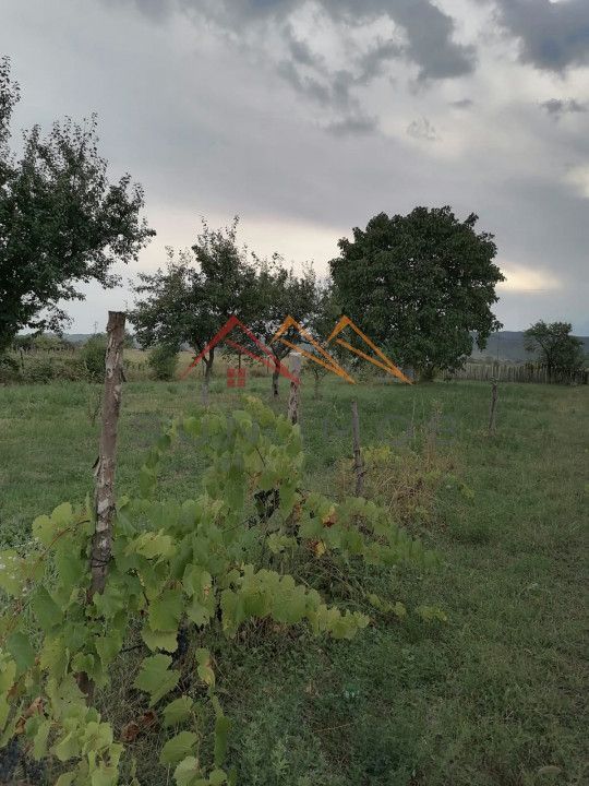 Casa rustica 3 camere, 4000 mp teren, cabana din lemn, pomi fructiferi - Poză 7