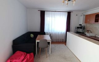 Apartament 2 camere C.Sagului - Poză 3