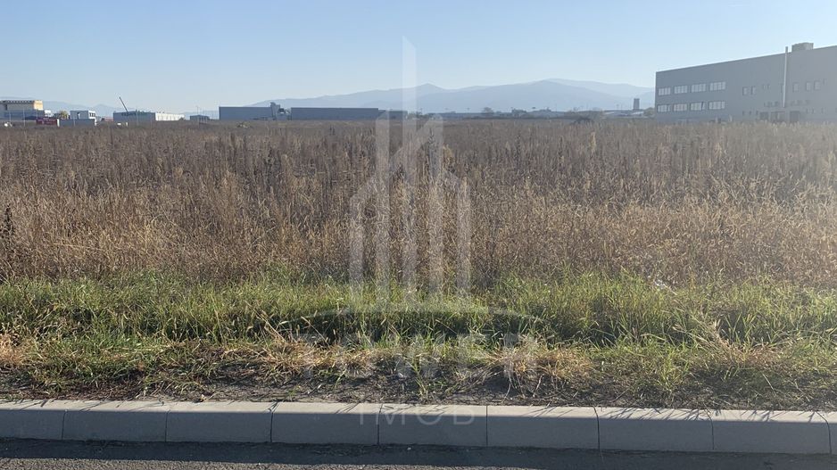 TEREN INTRAVILAN - ZONA INDUSTRIALA VEST-9000 mp, sau 18000 mp - Poză 3