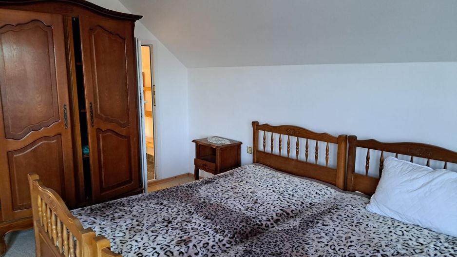 OFERTA in Băcia. Hunedoara ! Proprietate 2 case + Cabană - Poză 7