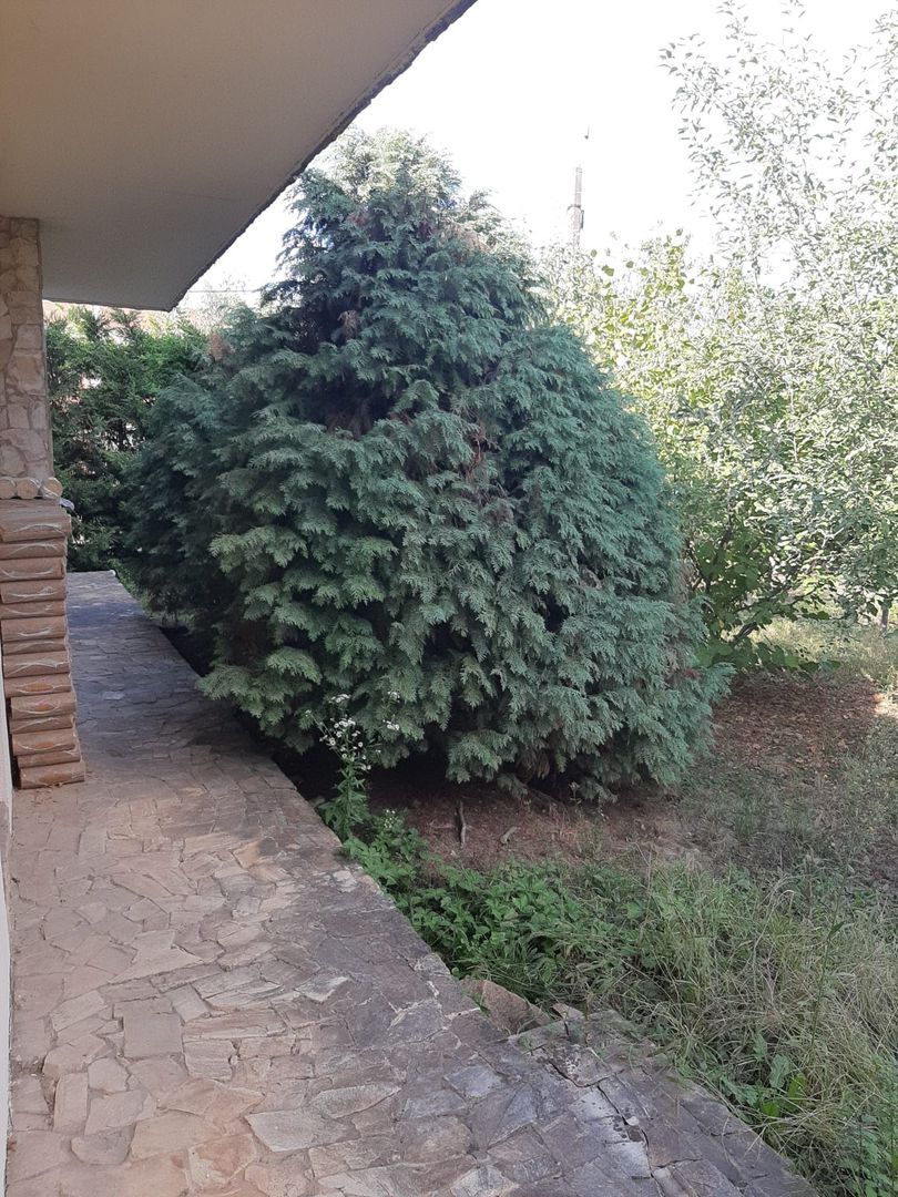 Casa individuala Timisoara/ Mehala - Poză 17