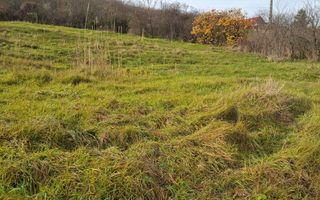 VAND Teren Golaiesti - Poză 2