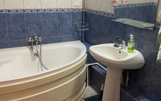 Vacaresti // reabilitat // centrala proprie - Poză 9