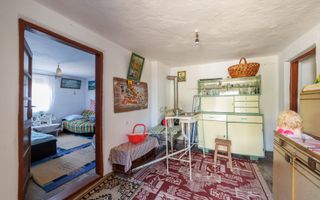 CASA SI GOSPODARIE DE VANZARE – SPINENI, OLT | 4.000 MP TEREN - Poză 10
