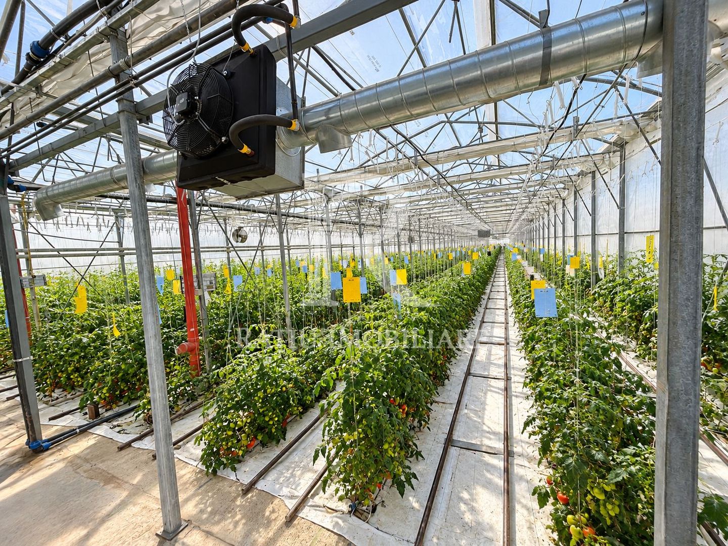 Complex agroindustrial de închiriat | Sere 3.300 mp - Poză 1