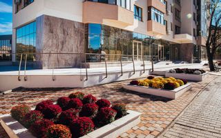 Spatiu la bulevard Nicolina - Rond vechi - Poză 2