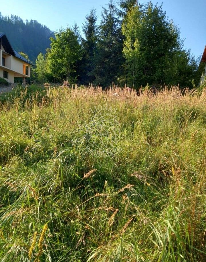 Teren intravilan 1615 mp-ideal cabane turism-Colibita, Oferta unica! - Poză 1