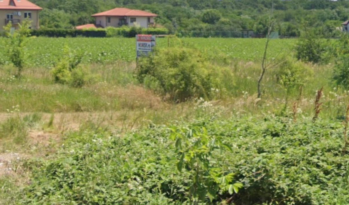800 mp padurea Snagov Ciofliceni l utilitati la strada - Poză 4