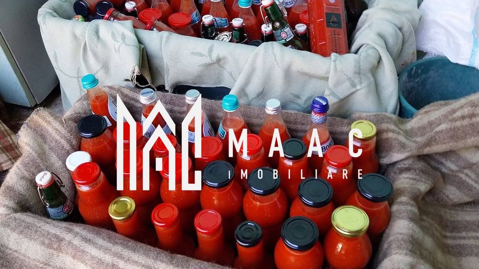 Proprietate cu 60000 mp pamant la pret de apartament - Poză 12