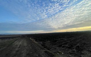 TEREN EXTRAVILAN | 82 ARI | PERIFERIA ORASULUI - Poză 3