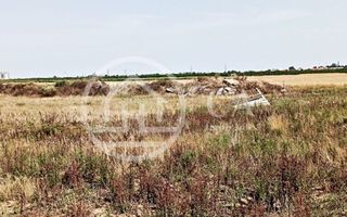 Teren intravilan de vanzare in Santandrei, Bihor - Poză 2