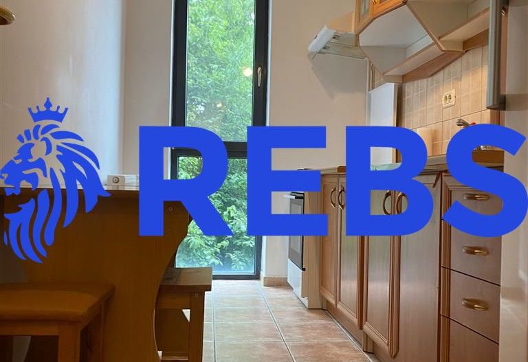 Apartament cu 1 camera centrala proprie situat in zona Braytim - Poză 3