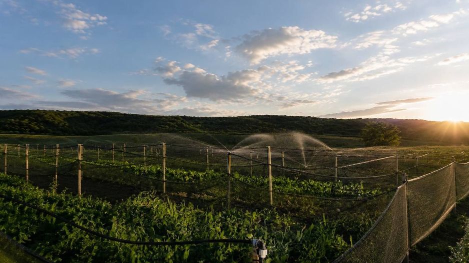 Teren agricol de vânzare – 6,8 hectare cu lac propriu și casă, Nisporeni - Poză 2