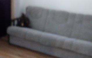 Închiriez apartament cu 2 camere - Poză 4