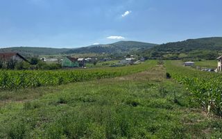 Teren intravilan de vanzare, Alba-Micesti - Poză 4