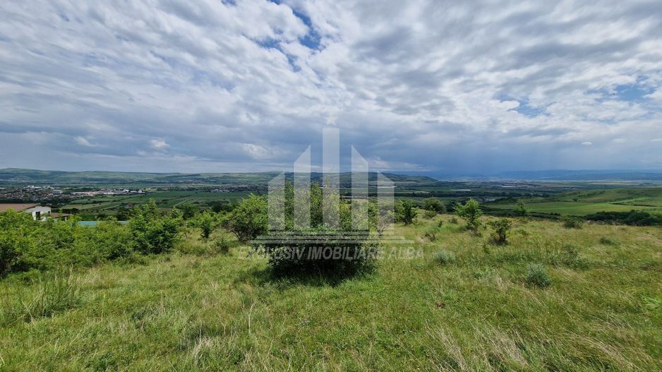 Teren extravilan de vanzare, Paclisa - Poză 2