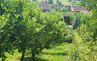 Casă săsească autentică în Bruiu (Sibiu) - Poză 18