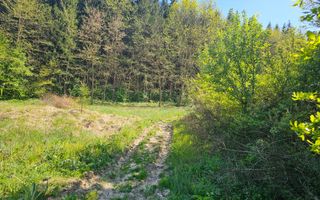 Teren intravilan | langa padure si parau | Luncani/Bacau - Poză 2