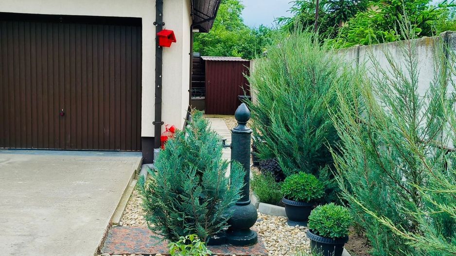 Parter cu structură pentru etaj, curte amenajată și organizare impeca - Poză 17