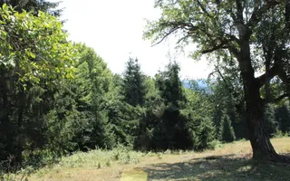 Poiana Sohodol I 5600 MP I Trei corpuri cladiri I Utilitati - Poză 64