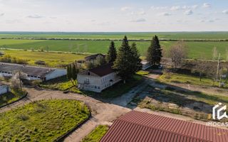 De vanzare Complex Zootehnic Suine Jud. Arad SU 15.30ha, Ferma, Grajd - Poză 8