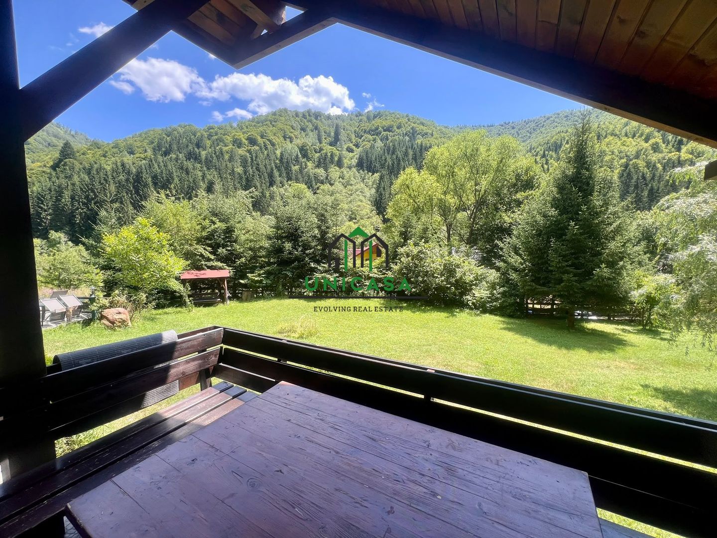 Proprietate deosebita de vanzare – Voinesița, Comuna Voineasa - Poză 6